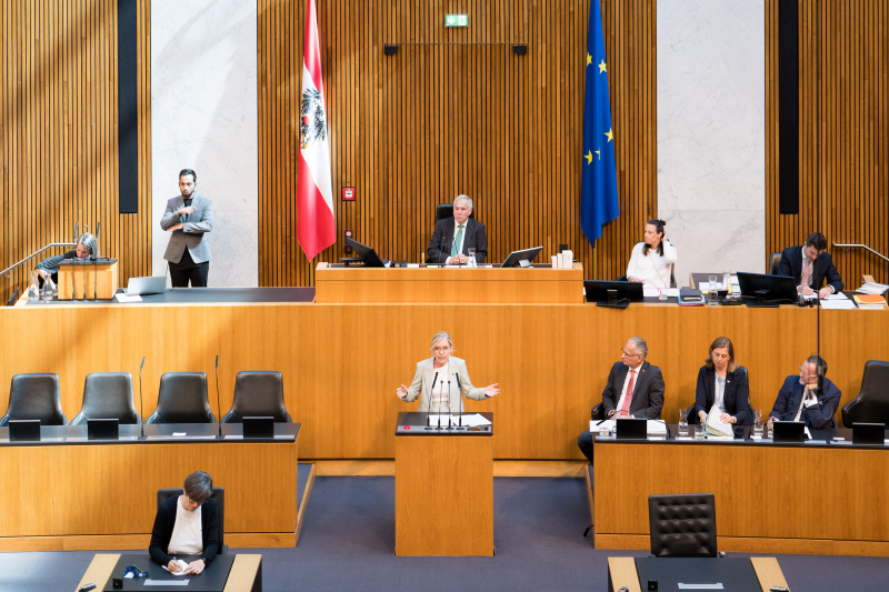 Am Wort: Klubobfrau Leonore Gewessler (GRÜNE)