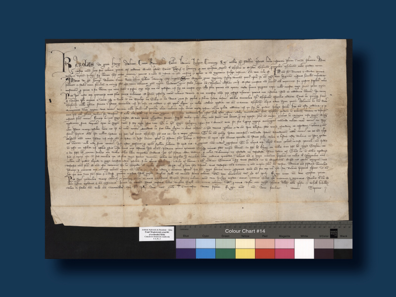 Bestätigung des vom ungarischen König Andreas II. 1224 erlassenen Goldenen Freibriefs für die Siebenbürger Sachsen, 1317