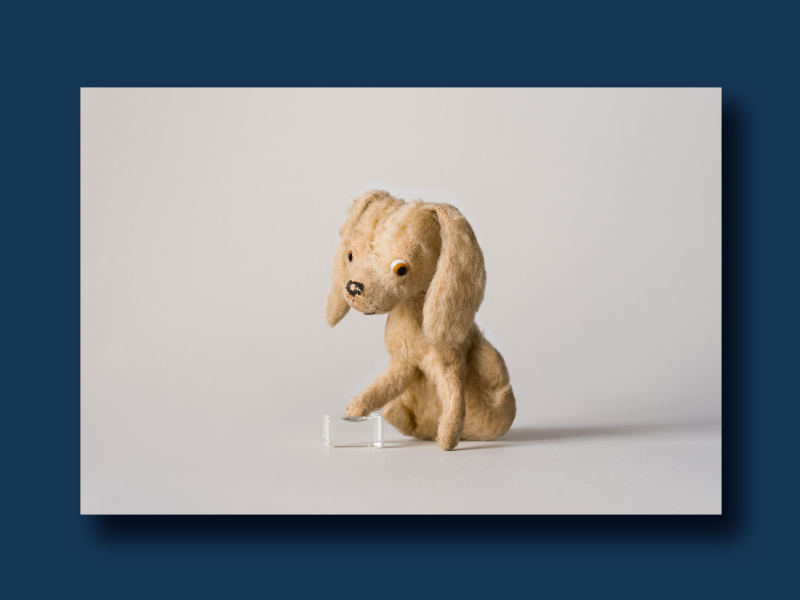Ausstellungsstücke: Plüschhund