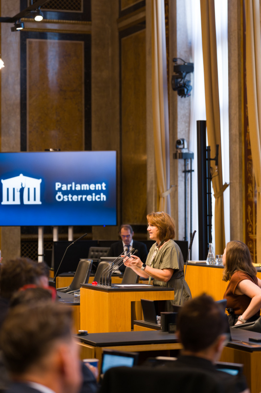 Am Wort: Bundesratsmitglied Johanna Miesenberger (ÖVP)