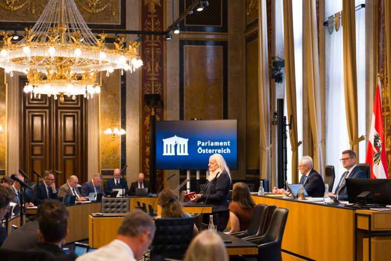Am Wort: Bundesratsmitglied Claudia Arpa (SPÖ)