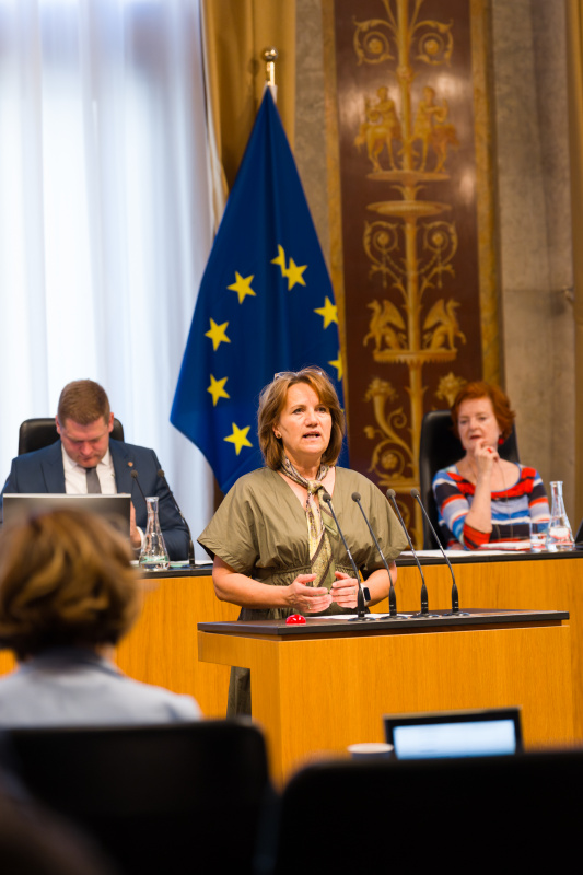 Am Wort: Bundesratsmitglied Johanna Miesenberger (ÖVP)
