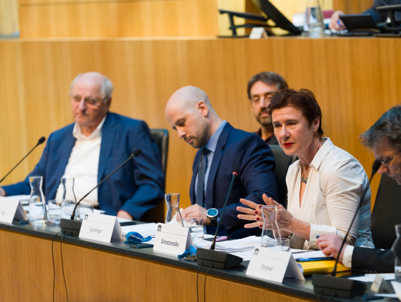 Eine Expertin und mehrere Experten im Budgetausschuss