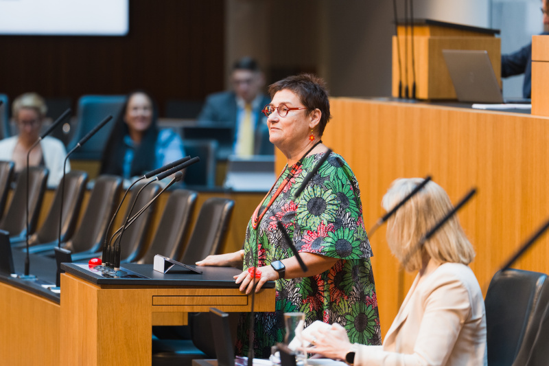 Am Wort Nationalratsabgeordnete Petra Bayr (SPÖ)