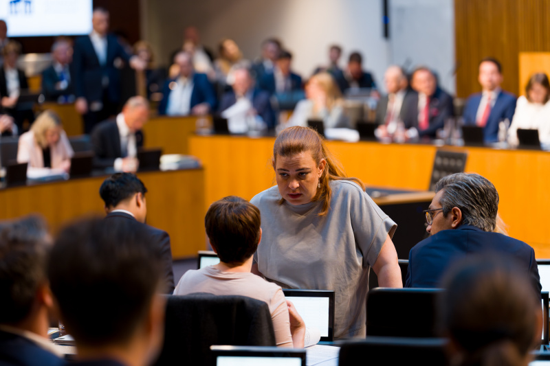 Blick ins Plenum. Nationalratsabgeordnete Nina Tomaselli (GRÜNE)