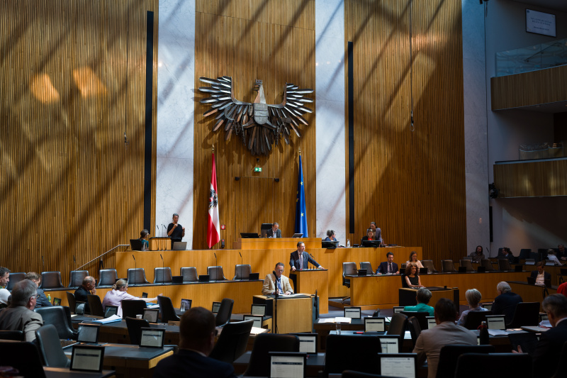 Nationalratsabgeordneter Hermann Brückl (FPÖ) am Wort