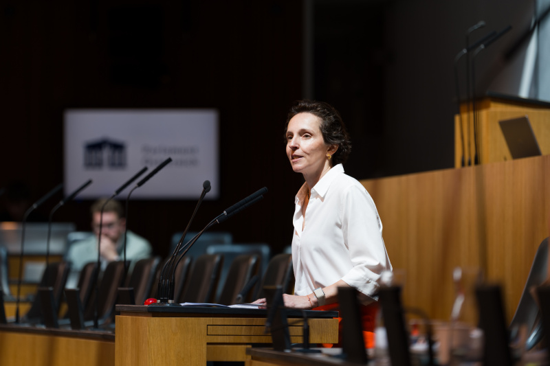 Nationalratsabgeordnete Martina von Künsberg Sarre (NEOS) am Wort