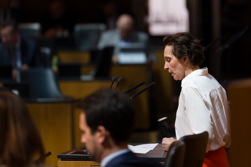 Nationalratsabgeordnete Martina von Künsberg Sarre (NEOS) am Wort