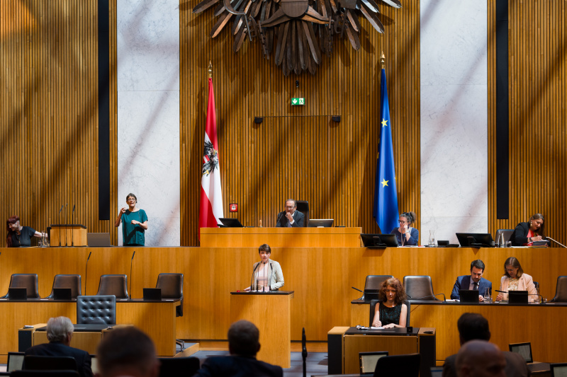 Nationalratsabgeordnete Sigrid Maurer (GRÜNE) am Wort
