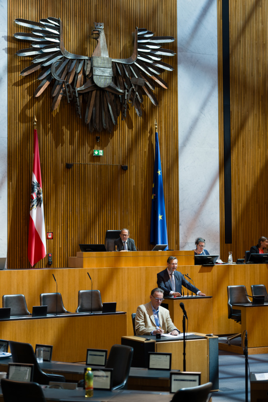 Nationalratsabgeordneter Hermann Brückl (FPÖ) am Wort
