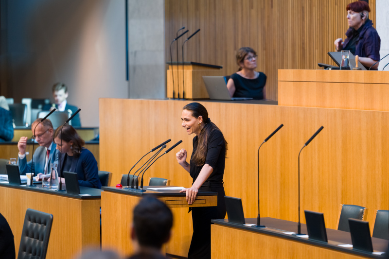 Nationalratsabgeordnete Barbara Neßler (GRÜNE) am Wort