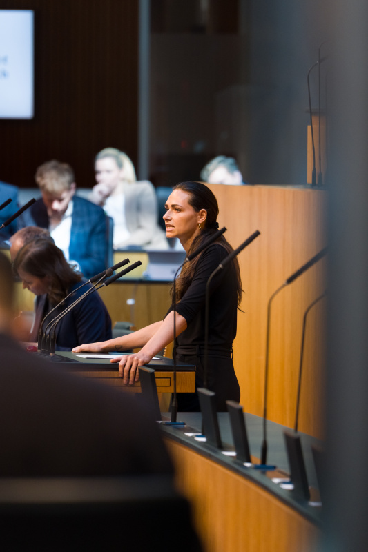 Nationalratsabgeordnete Barbara Neßler (GRÜNE) am Wort