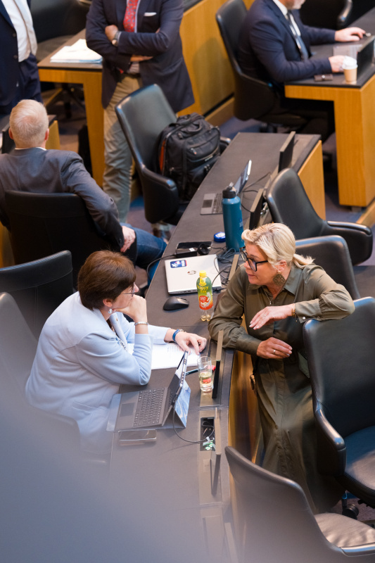 Blick ins Plenum