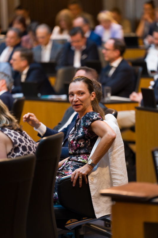 Blick ins Plenum