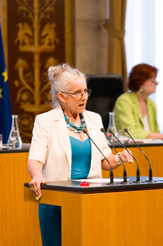 Bundesratsmitglied Simone Jagl (GRÜNE) am Wort