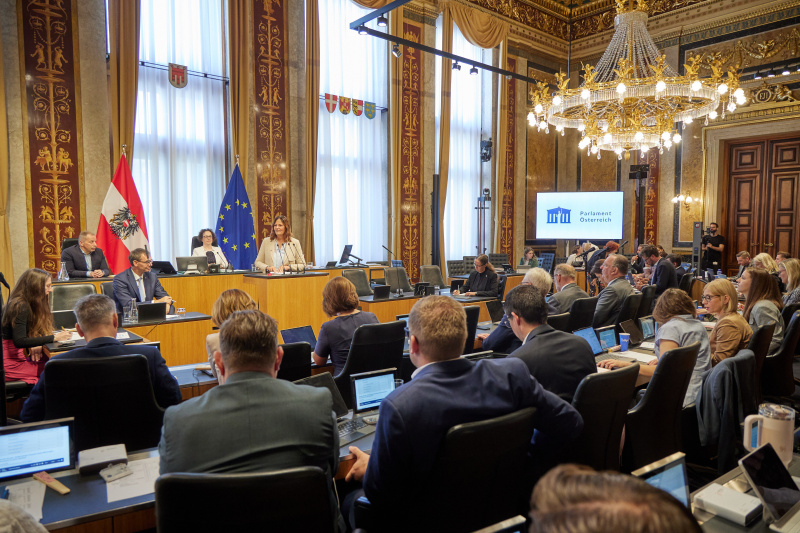 Am Rednerinnenpult: Bundesrätin Sandra Jäckel (FPÖ)