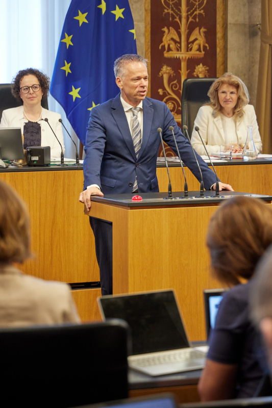 Am Rednerpult: Vorsitzender der Bundesratsfraktion Harald Himmer (ÖVP)