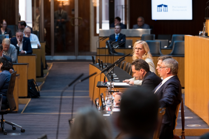 Klubobfrau Leonore Gewessler (Grüne) bei der Begründung des dringlichen Antrags