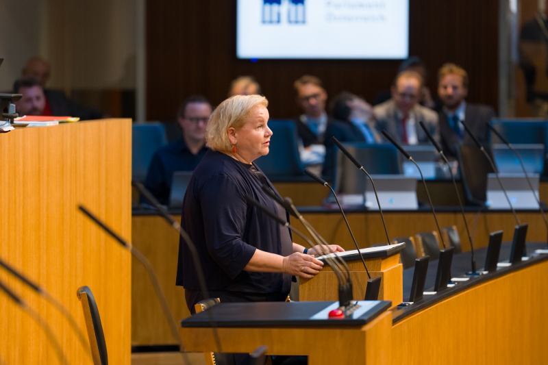 Am Wort: Sozialministerin Korinna Schumann (SPÖ)