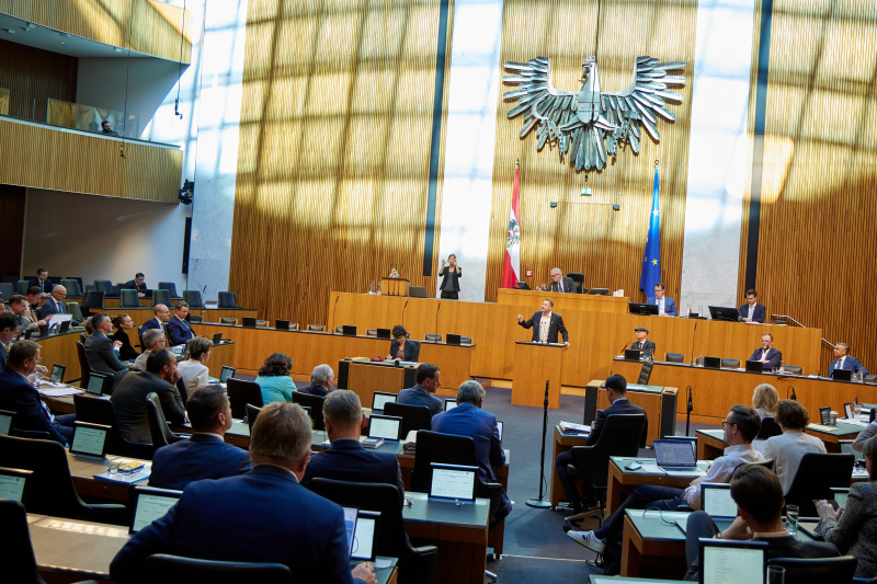 Am Rednerpult: Nationalratsabgeordneter Michael Schnedlitz (FPÖ)