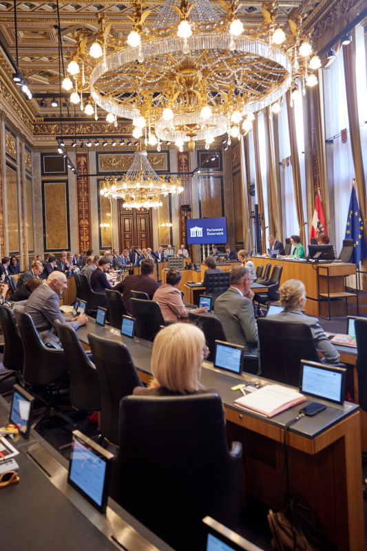 Bundesratspräsidentin Christine Schwarz-Fuchs (ÖVP) am Präsidium