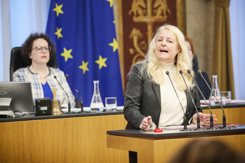 Am Rednerinnenpult Bundesrätin Claudia Arpa (SPÖ)