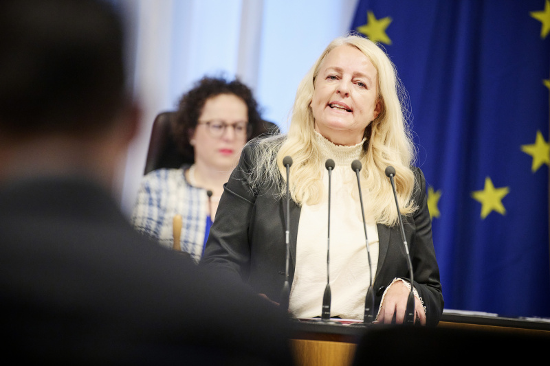 Am Rednerinnenpult Bundesrätin Claudia Arpa (SPÖ)