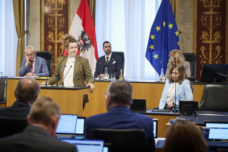 Am Rednerinnenpult Bundesrätin Verena Schweiger (SPÖ)