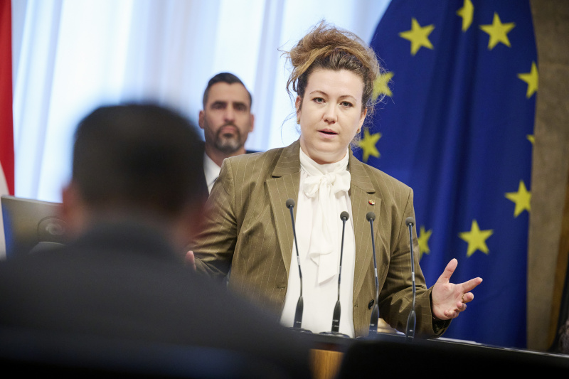 Am Rednerinnenpult Bundesrätin Verena Schweiger (SPÖ)