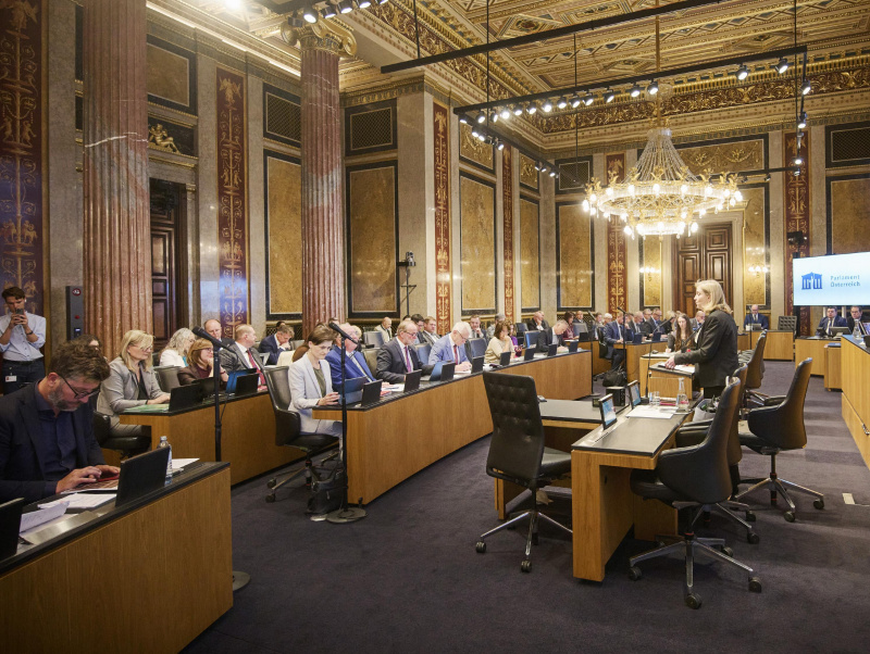 Am Rednerinnenpult Außenministerin Beate Meinl-Reisinger (NEOS). Blick Richtung Sitzungsteilnehmerinnen und -teilnehmer