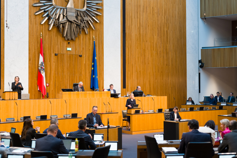 Am Wort: Außenministerin Beate Meinl-Reisinger (NEOS)
