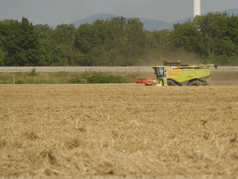 Mähdrescher auf dem Feld