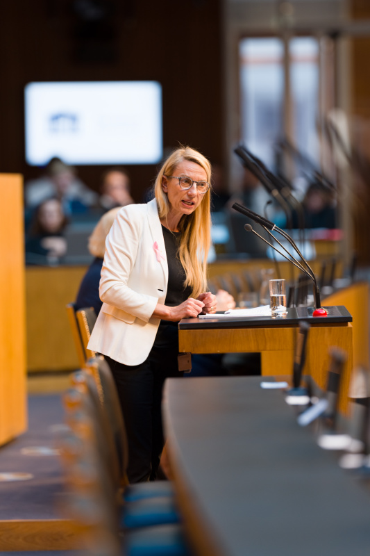 Am Wort: Nationalratsabgeordnete Juliane Bogner-Strauß (ÖVP)