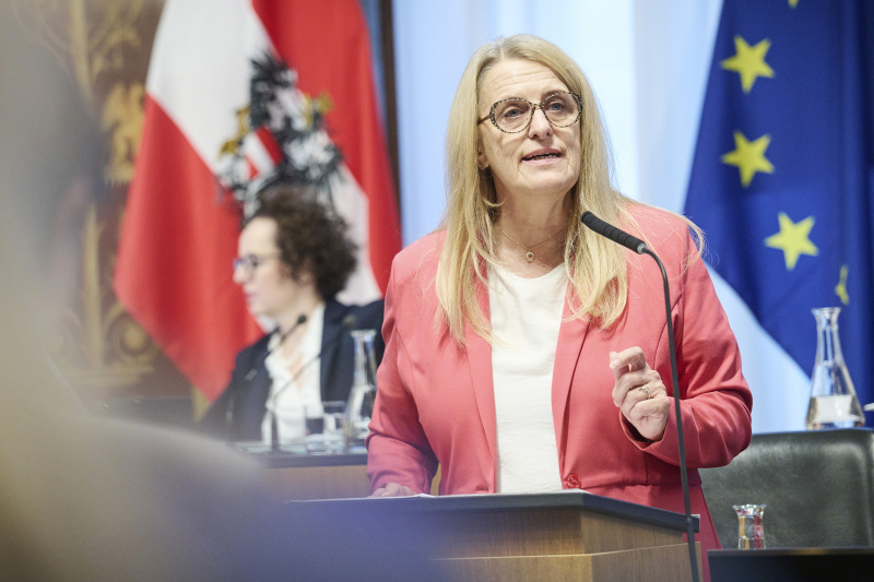 Am Rednerinnenpult Staatssekretärin Ulrike Königsberger-Ludwig (SPÖ)