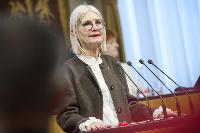Am Rednerinnenpult Bundesrätin Gabriele Kolar (SPÖ)