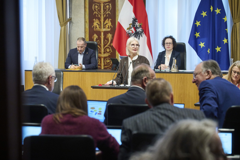 Am Rednerinnenpult Bundesrätin Gabriele Kolar (SPÖ)