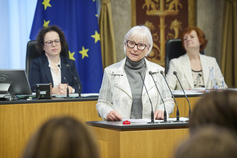 Am Rednerinnenpult Bundesrätin Irene Partl (FPÖ)