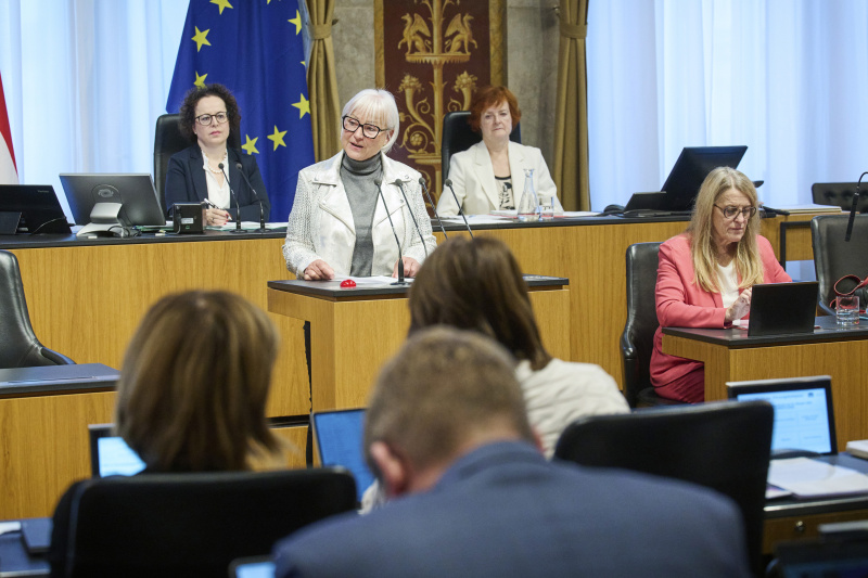 Am Rednerinnenpult Bundesrätin Irene Partl (FPÖ)