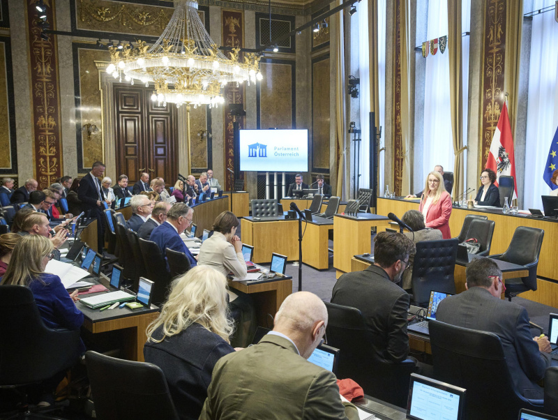Am Rednerinnenpult Staatssekretärin Ulrike Königsberger-Ludwig (SPÖ)