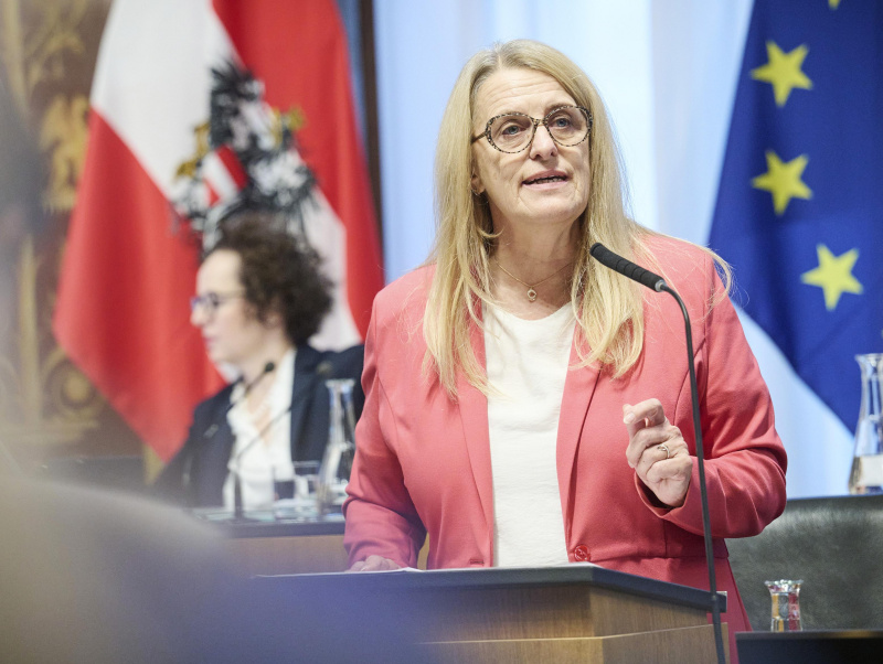 Am Rednerinnenpult Staatssekretärin Ulrike Königsberger-Ludwig (SPÖ)