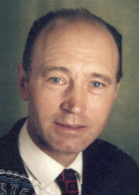 Portraitfoto von Dipl.-Ing. Hans Gasser
