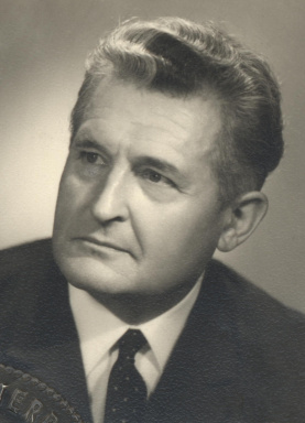 Portraitfoto von Ing. Karl Hofstetter