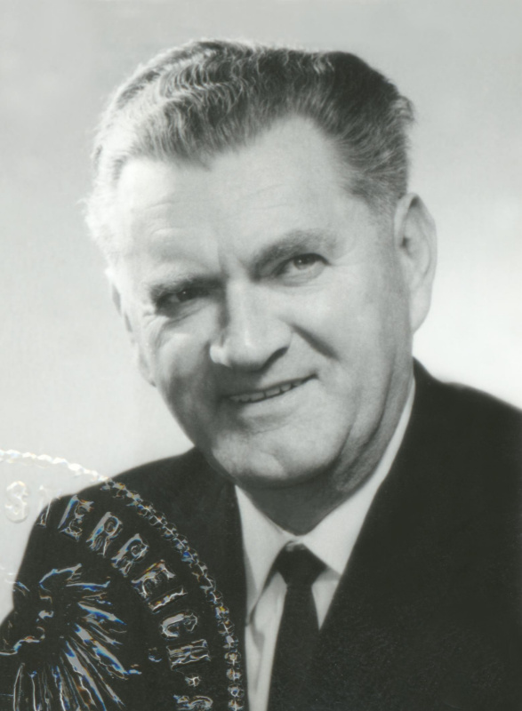 Heinrich Scheibengraf