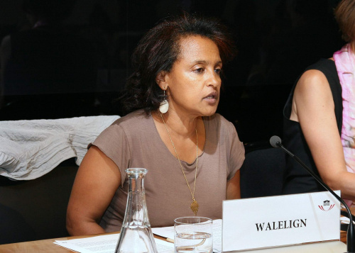 Tsiguereda Walelign (Referentin für Entwicklung, grüne EP-Franktion)