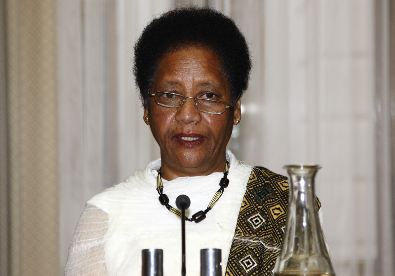 österreichische FGM Koordinatorin im EU Daphe Projekt Etenesh Hadis am Rednerpult.