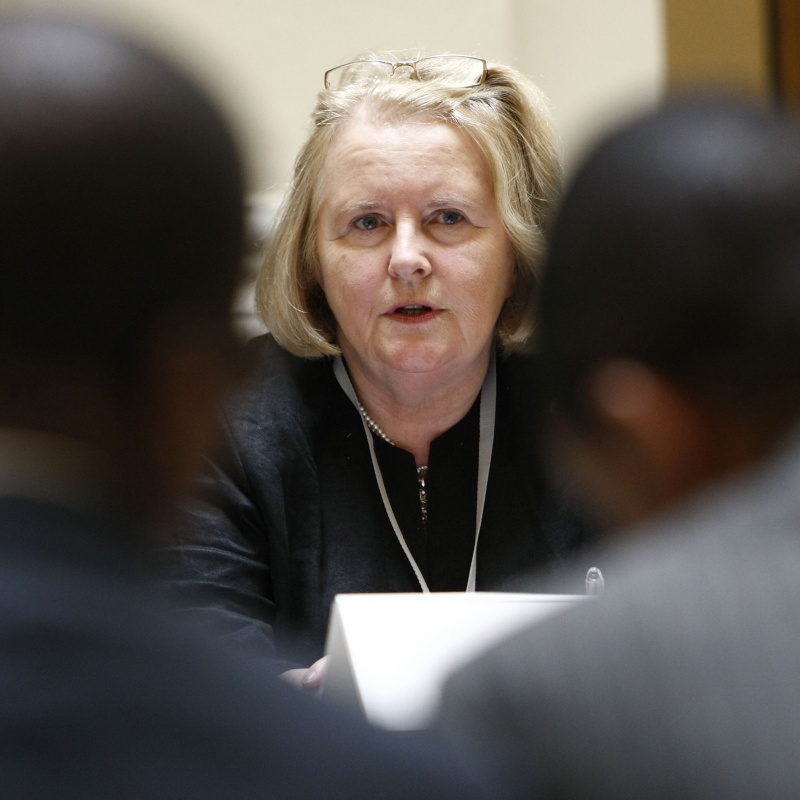 Katharine Bulbulia, AWEPA Senior Political Advisor, am Mikrofon.