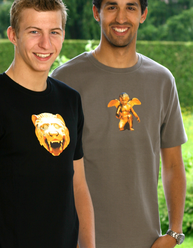 T-Shirt für Herren (mit Engel- oder Löwenmotiv, diverse Größen und Farben)