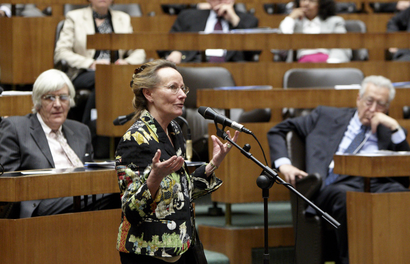 Wortmeldungen einer Veranstaltungsteilnehmerin