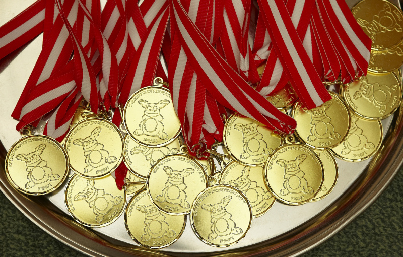 Demokratiewerkstatt-Profi Medaillen