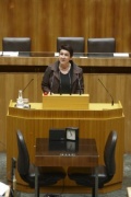 Sonja Ablinger, Nationalratsabgeordnete der SPÖ, am Rednerpult.
